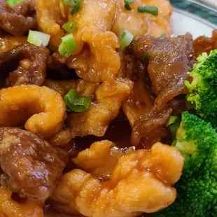 Aromatic dynamic ($12.95)