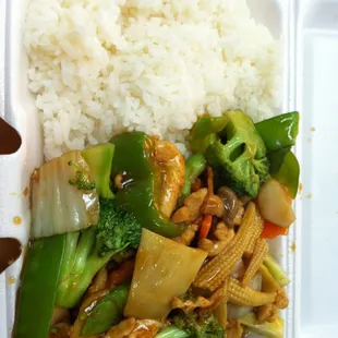 Chicken (breast meat) with mixed vegetables and brown sauce