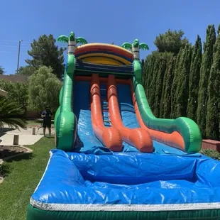 18' tropical thunder double water slide