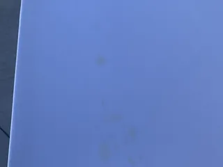 Antelope Party Supplies