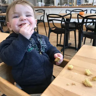 Citrus Lavender Muffin