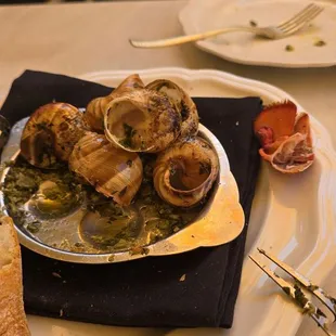 Empty escargot shells