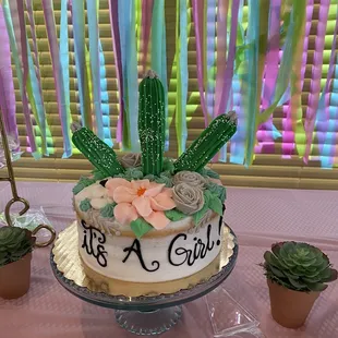 a cake with a cactus on top