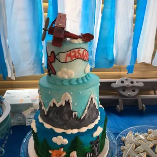 a cake with a plane on top