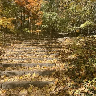 Cherokee Park