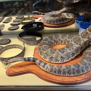 Many rattlesnake skin items.