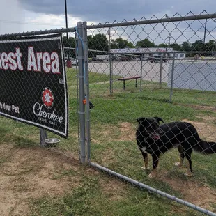 Pet rest area sets this travel plaza above the rest. So nice that our dog had a place to stretch his paws off leash.