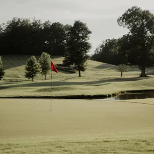 View from #1 green looking back to the fairway.