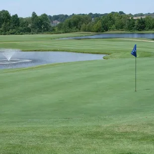 Looking back from #1 green towards the fairway.