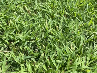 North Creek Golf Club