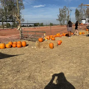 Oops--my shadow makes an appearance.