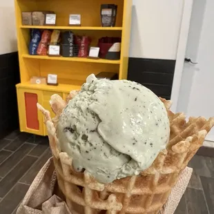 Mint chocolate chip