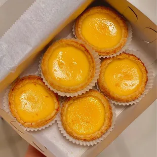 Egg Tarts x 6 (06/2023)