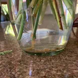 Gunk in the vase