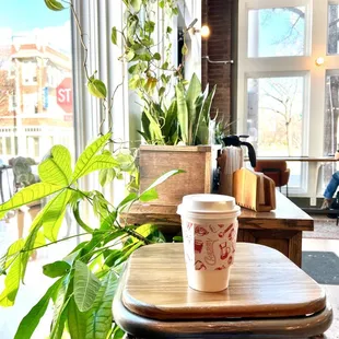 Matcha latte