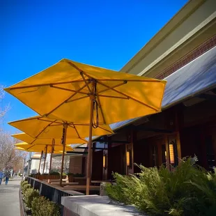 a row of yellow umbrellas