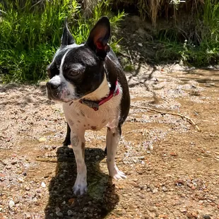 Just a happy filthy girl.