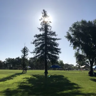 Kiddo Soccer Tournament