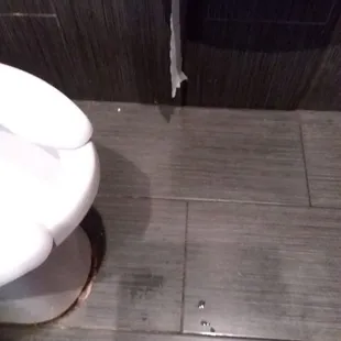 Pee on floor.  No women's restrooms.