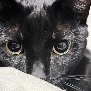 Bonita B.