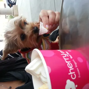 Luvin' his Cherry on Top!