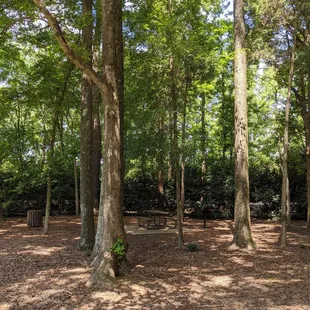The picnic table we ate at