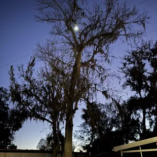 outside, burritos and wraps