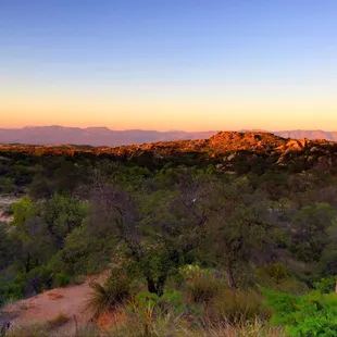 View from the main house