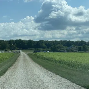 Nothing but fresh air and apples!