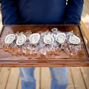 Misty Point Oysters