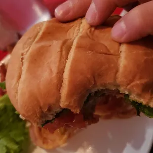 Burger was a little bland.