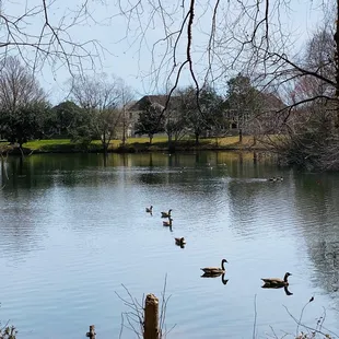 A small lake towards the back loop side