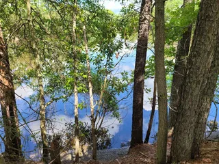 Bells Mill Park