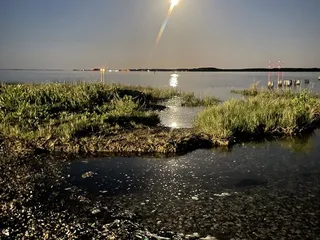 Thomas Jefferson Rollins Nature Area