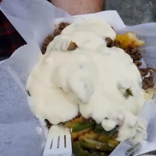 Philly fries