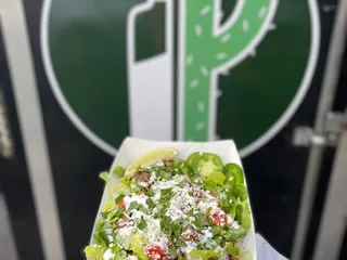 The Salty Cactus