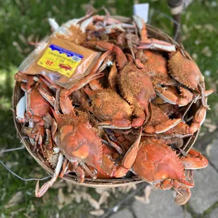 a basket full of crabs