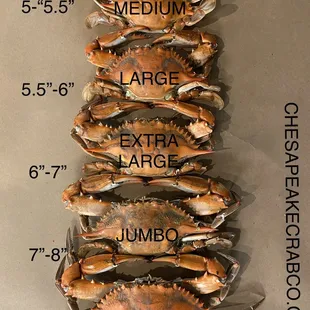 Crab Sizing Chart