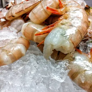 Complete the cheer on the china with a generous portion of juicy and tender shrimp that is ready for a quick dip into cocktail sauce.
