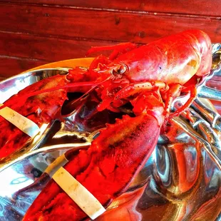 We steam up fresh lobsters for you!