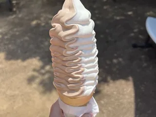 Stevie's Ice Cream