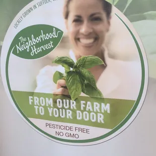 a woman holding a basil plant
