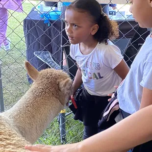 The girls are animal lovers and so enjoyed the petting zoo!