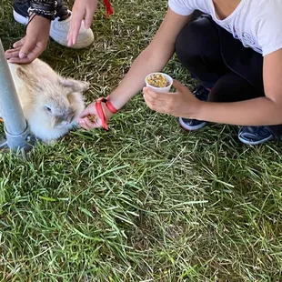 The girls are loving it!