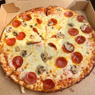 Large pepperoni, mushroom and extra cheese