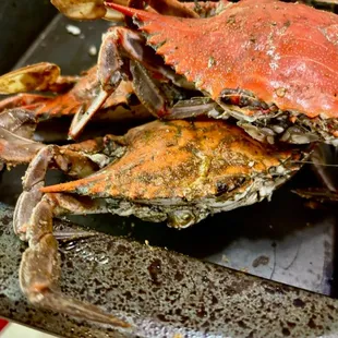 My crabs were good.  Medium-sized males. They were a lot bigger than they appear. 07-14-24