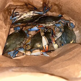 Happy with our size selection.