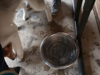 Grump's Cafe - Crofton