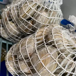 clam shells wrapped in netting