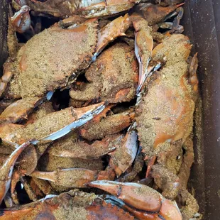 Half bushel of #1's July 4th